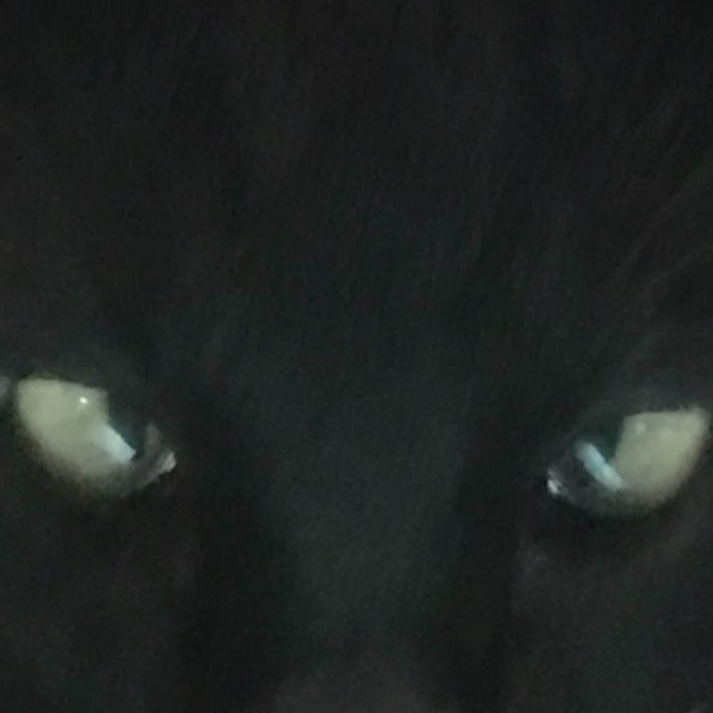 Meet your Posher, Carmen